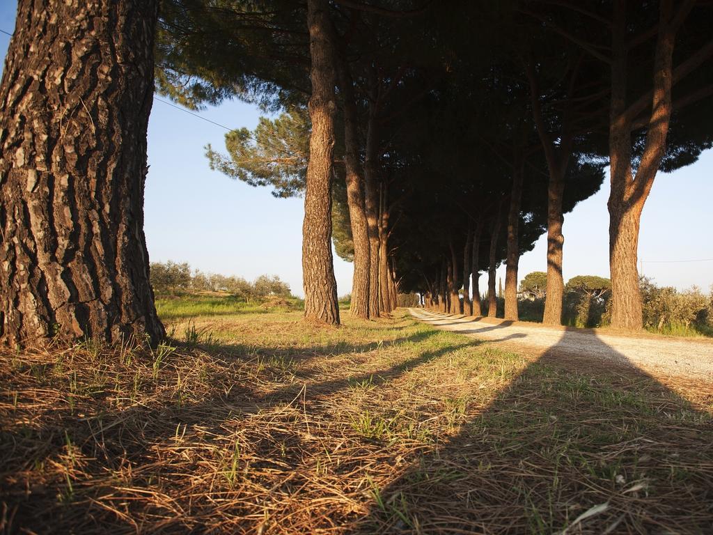 Agriturismo Peretti 폰테블란다 외부 사진